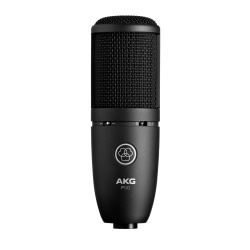 akg p120