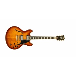 dangelico_premier_dc_dark_iced_tea_burst_1