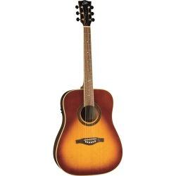 eko_one_d150e_vintage_burst