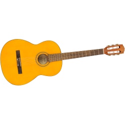 fender_esc-105_educational_series