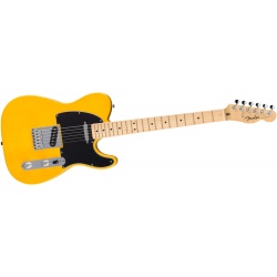 fender_standard_telecaster_mn_butterscotch_blonde