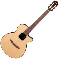 ibanez_aeg50n_natural