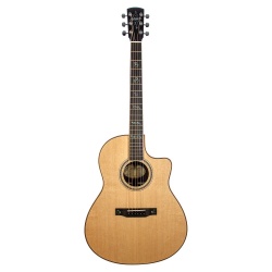 Larrivee LV-03 Deluxe SE Venetian Ctw Eq
