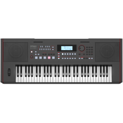 roland_e-x50