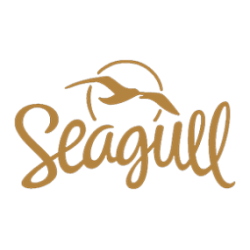 seagull