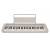 casio_ct-s1_white_casiotone