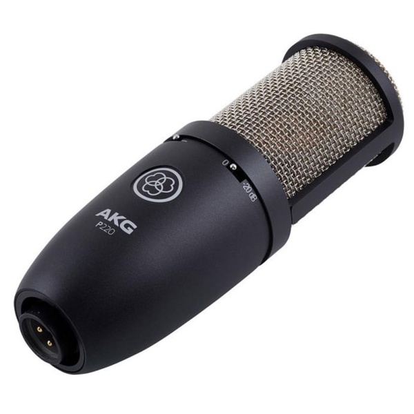 akg_p220_2