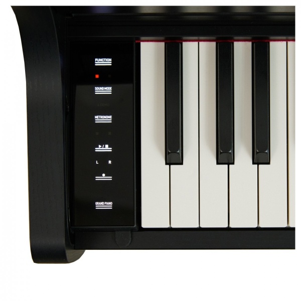 casio_ap-300_bk_celviano_black_3