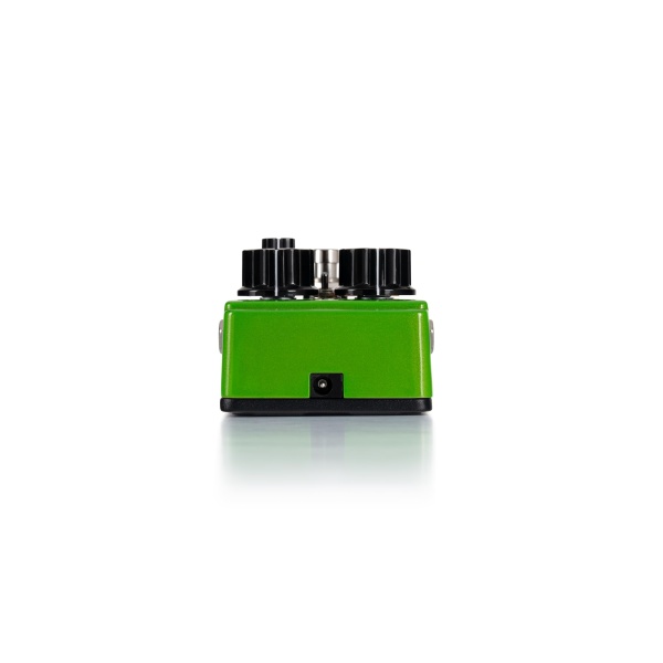 digitech_badder_monkey_2