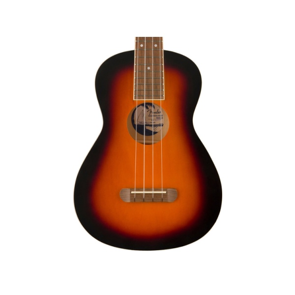 fender_avalon_tenore_sunburst_1