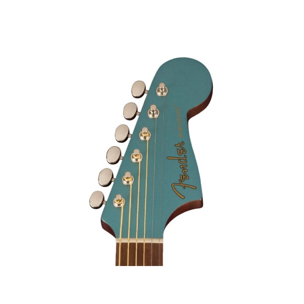 fender_newporter_player_tidepool_2