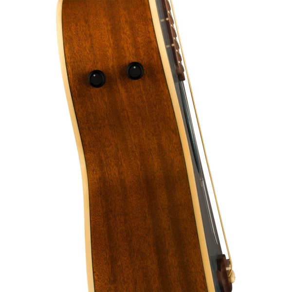 fender_newporter_player_tidepool_4