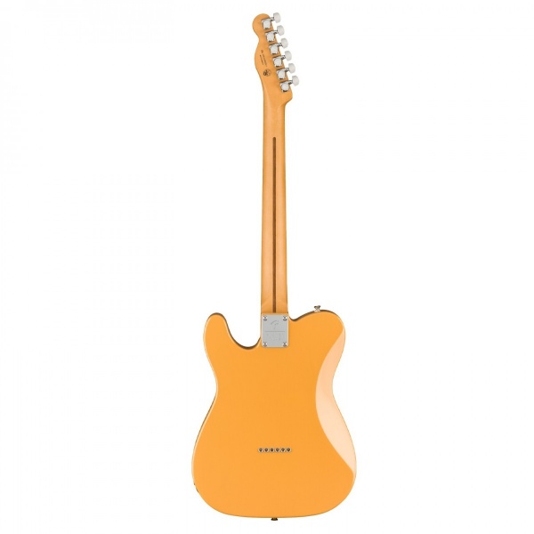 fender_player_plus_nashville_telecaster_mn_butterscotch_blonde_2