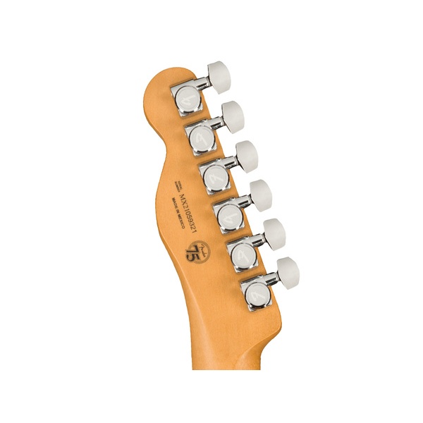 fender_player_plus_nashville_telecaster_mn_butterscotch_blonde_4