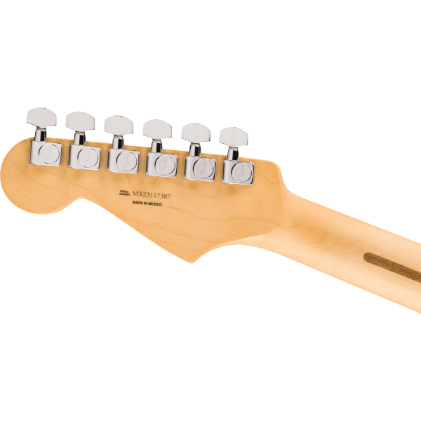 fender_player_stratocaster_anniversary_pf_2-color_sunburst_5