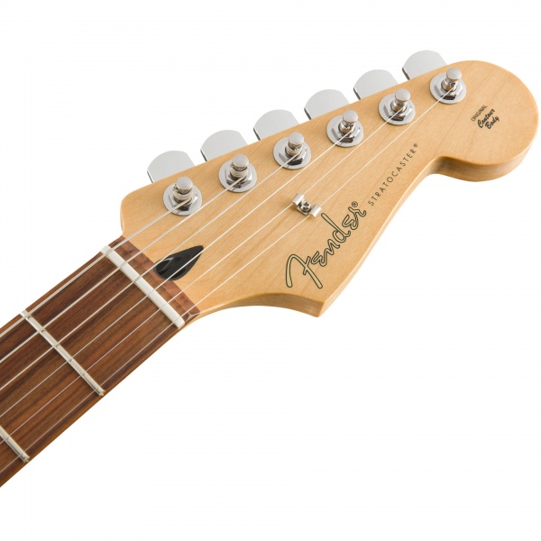 fender_player_stratocaster_pf_3ts_2