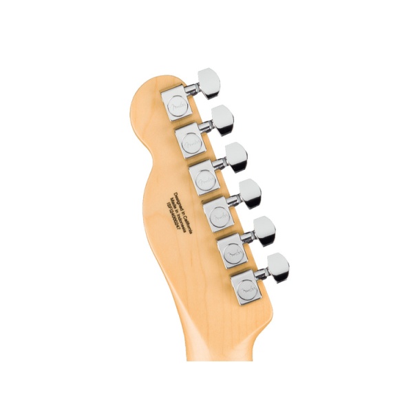 fender_standard_telecaster_mn_butterscotch_blonde_2