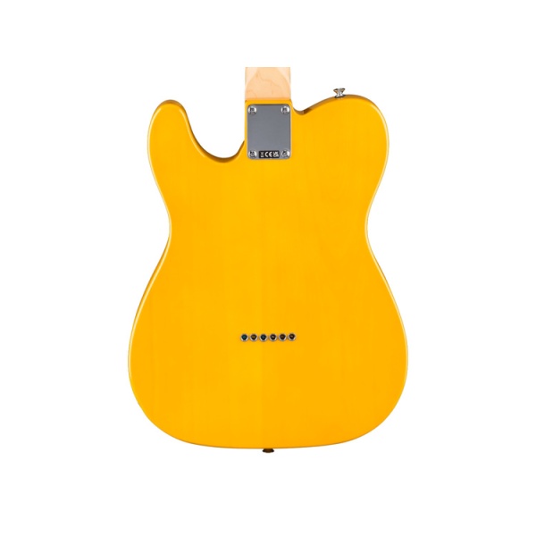 fender_standard_telecaster_mn_butterscotch_blonde_3