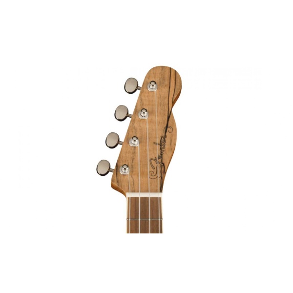 fender_zuma_exotic_concert_natural_spalted_maple_4