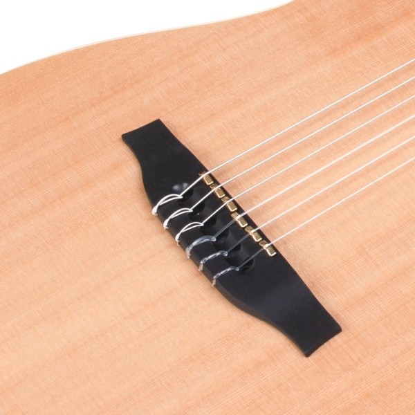 godin_acs_nylon_synth_access_2_voice_natural_sg_2