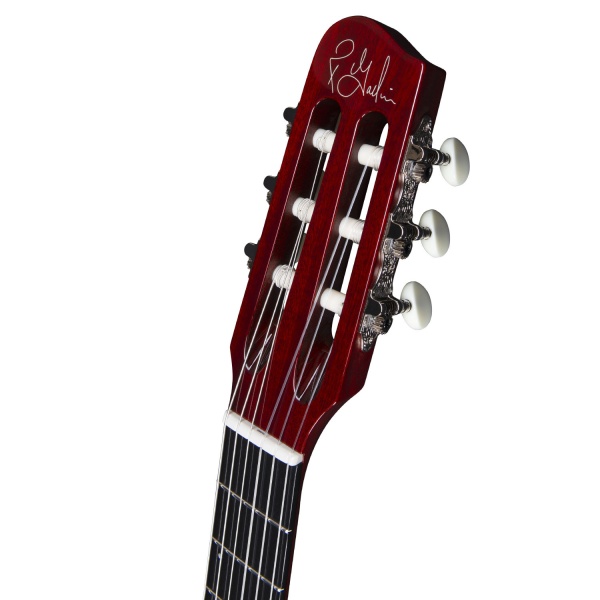 godin_acs_nylon_synth_access_2_voice_natural_sg_5