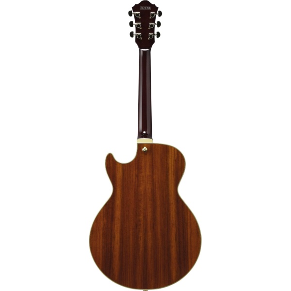 ibanez_ag95k_natural_4