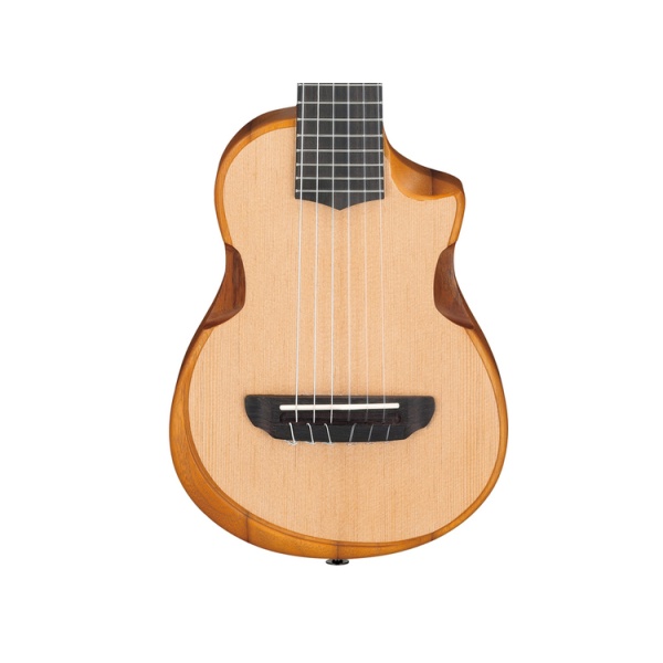 ibanez_aup10n_open_pore_natural_1