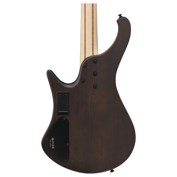 ibanez_ehb600_walnut_flat_4