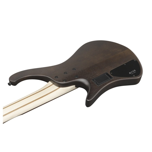ibanez_ehb605_walnut_flat_5