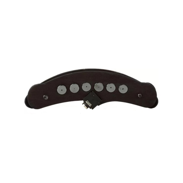 kna_sp-1_3