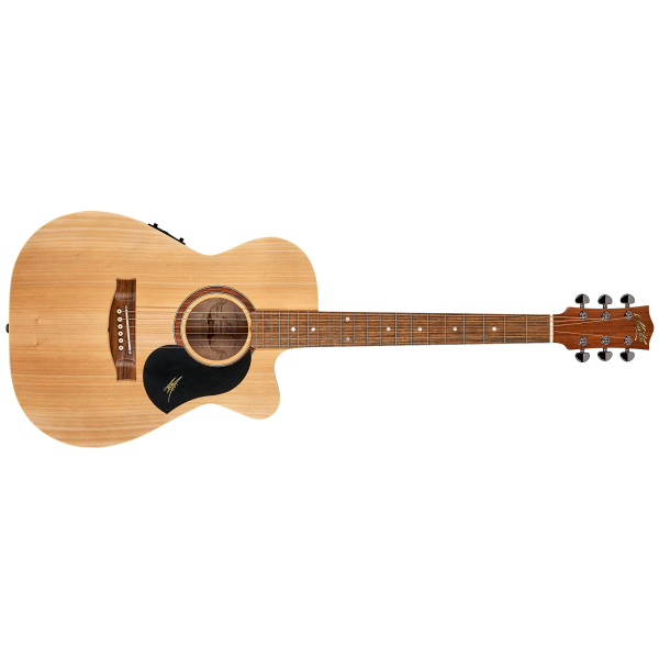 maton_performer