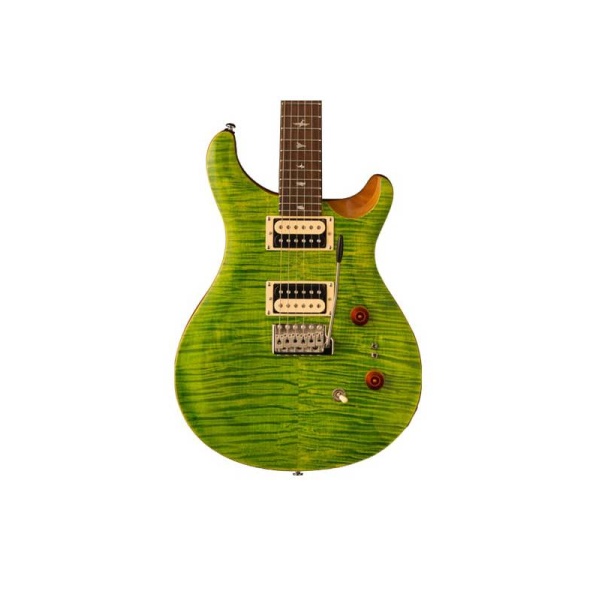 prs_se_custom_24-08_eriza_verde_1