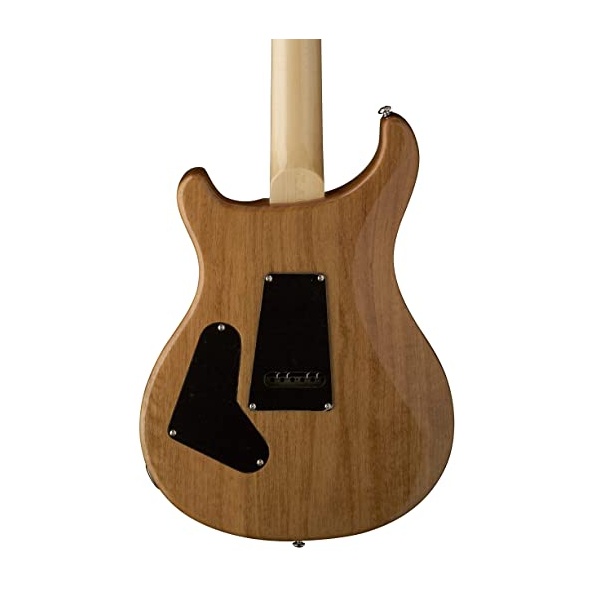 prs_se_custom_24-08_eriza_verde_3