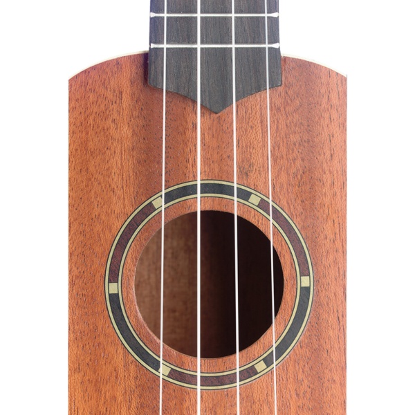 stagg_uc-30_2