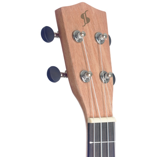 stagg_ut-30_4