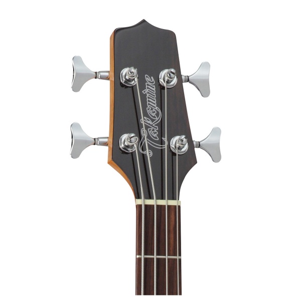 takamine_gb30ce_natural_1