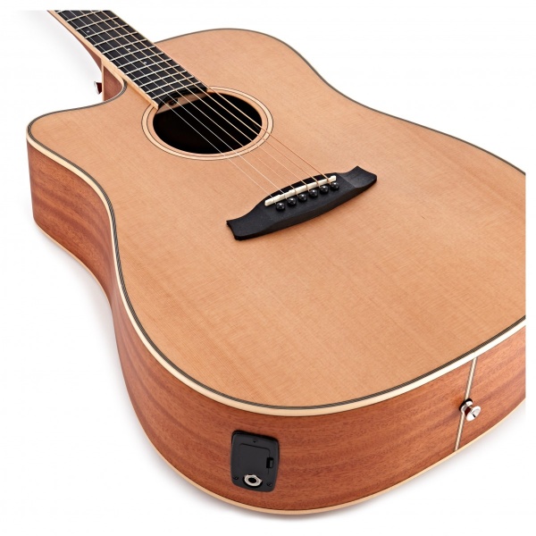 tanglewood_winterleaf_tw10e_lh_1