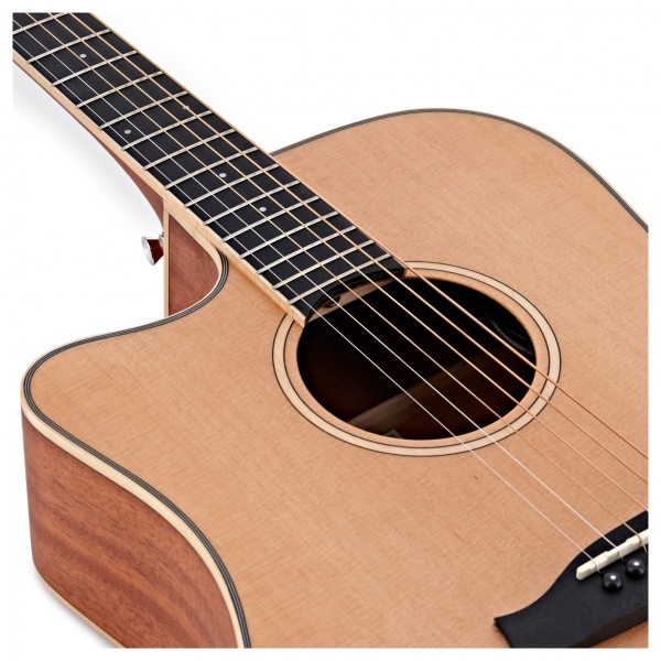 tanglewood_winterleaf_tw10e_lh_5