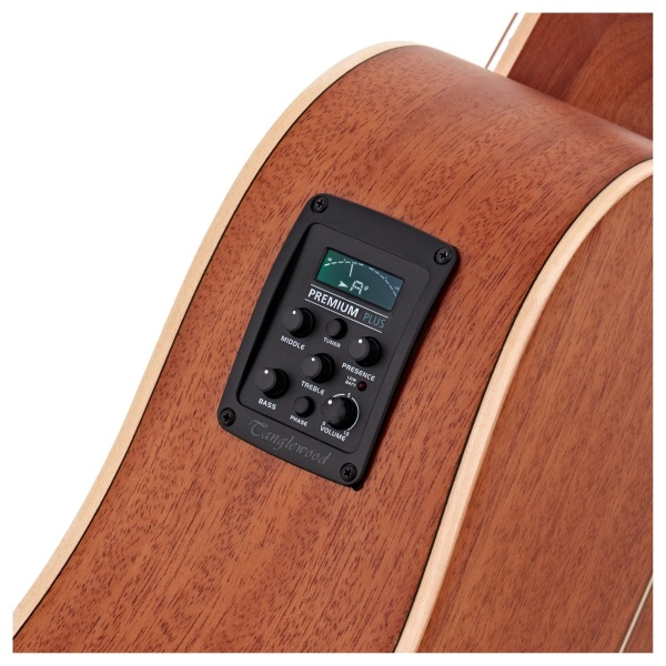 tanglewood_winterleaf_tw10e_lh_6