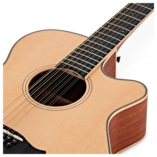 tanglewood_winterleaf_tw12ce_4